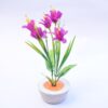 Plantas Ornamentales