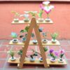Plantas Ornamentales - Imagen 2