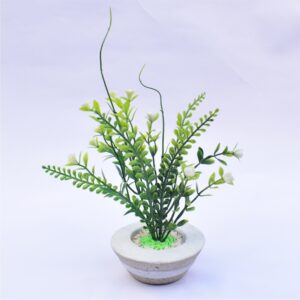 Plantas Ornamentales