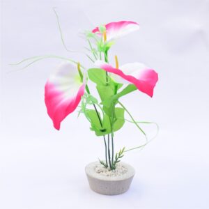 Plantas Ornamentales