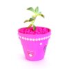 Materitas rosa - Imagen 3