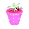 Materitas rosa - Imagen 2
